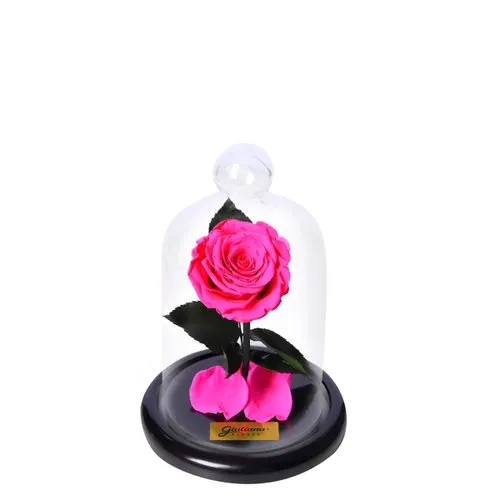 Mini Rosa Encantada Pink