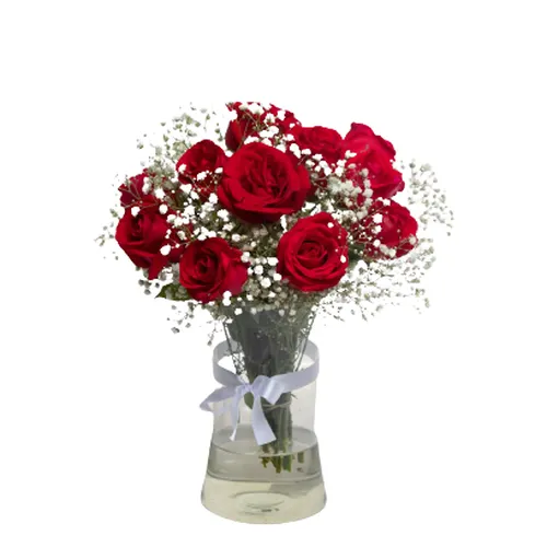 Beleza de Rosas Vermelhas