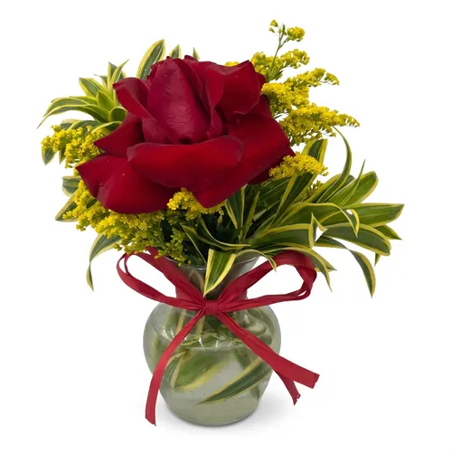 Arranjo de Uma Rosa no Vidro