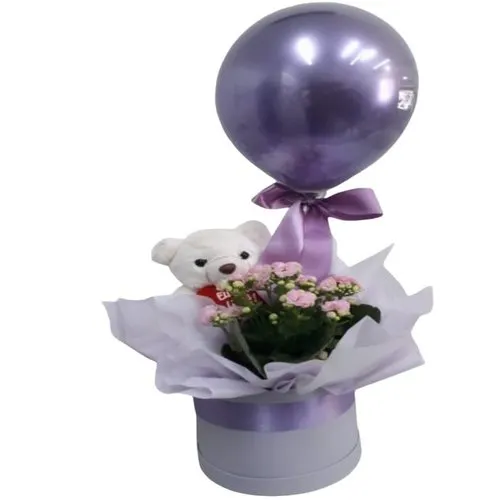 Caixa Box com Pelúcia e Flor Plantada