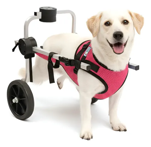 Cadeira 2 Rodas Cachorro Tam M Roupa Traseira Deficiente Cor Rosa