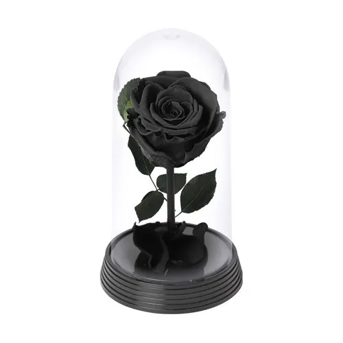 A Bela Rosa Encantada Preta