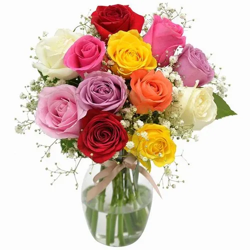 Elegância das Rosas Coloridas
