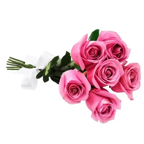 Buquê de 6 Rosas Lilás
