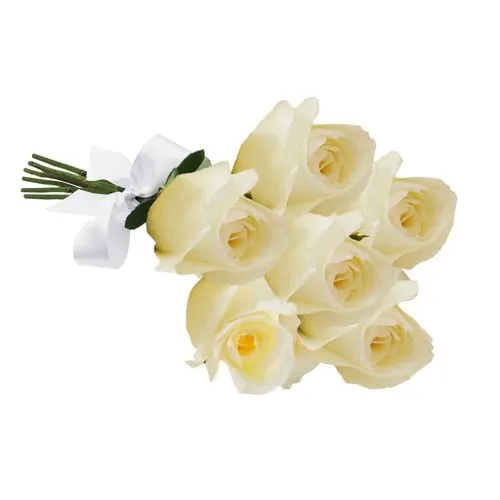 Buquê de 6 Rosas Brancas
