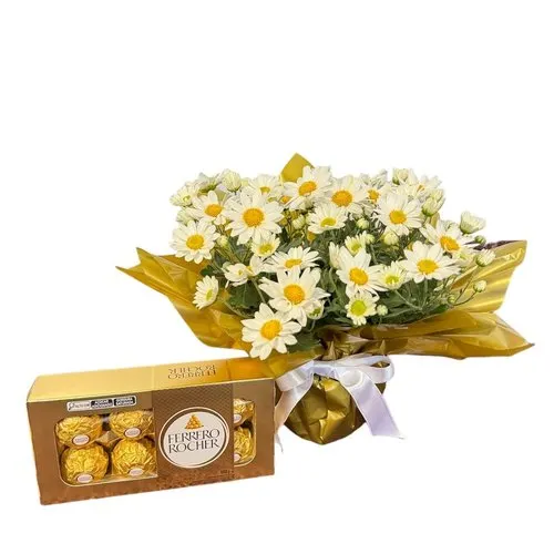 Margaridinhas e Chocolates