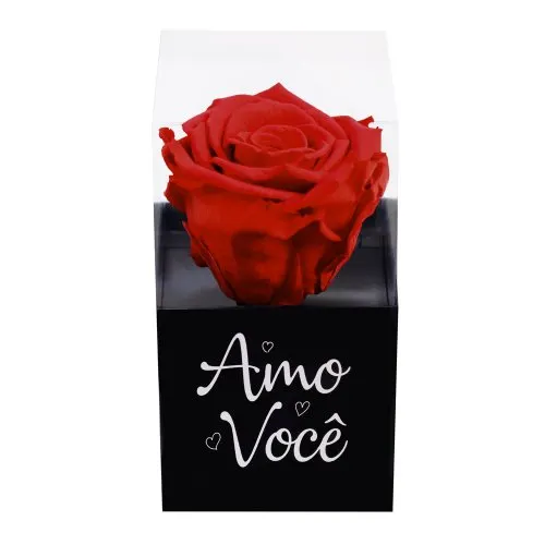 Rosa Encantada Vermelha "Amo Você"