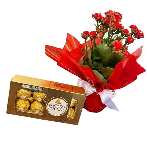 Kalandiva com chocolates