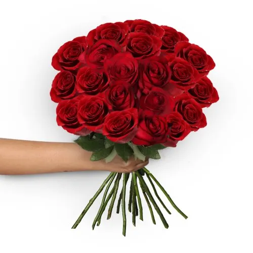 Ramalhete de 20 Rosas Vermelhas Veneza